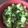 Yokchina's cooksnap of when they made レンジでじゃがいもをほくほくにする.