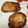 カヌレドトモコ's cooksnap of when they made アンコウの唐揚げ.