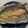クック81NK9U☆'s cooksnap of when they made 秋鮭ときのこのホイル焼き.