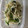 ながぴー♧'s cooksnap of when they made ほうれん草としらすの焼きのり和え.
