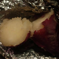 クックZTZ10H☆'s cooksnap of when they made 焚火で焼き芋の作り方.