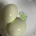kinkinsan's cooksnap of when they made ゆで時間1分！光熱費節約ゆでたまご.