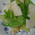 ジビエ大好き☆'s cooksnap of when they made イカとキャベツのオイスターソース炒め.