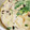 ブランシュkuu's cooksnap of when they made レンジで茶碗蒸し.