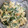 ぴけー's cooksnap of when they made ちょうどいい、ゆで卵.