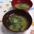 赤い電話's cooksnap of when they made わかめとねぎの味噌汁.