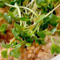 MULA's cooksnap of when they made かいわれゴハン.