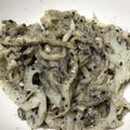 yokotantan's cooksnap of when they made 簡単＊切り干し大根とれんこんの胡麻和え.