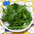 にきけん's cooksnap of when they made *春菊とオリーブオイル*.