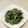 クックKOQ92X☆'s cooksnap of when they made 春菊とわかめの和風マヨサラダ＊簡単.