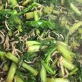 リサ□■'s cooksnap of when they made 大根葉とちりめんじゃこの炒めもの.