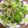 わたるんママ's cooksnap of when they made とまらない！ささみと三つ葉のザーサイあえ.