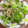 わたるんママ's cooksnap of when they made とまらない！ささみと三つ葉のザーサイあえ.