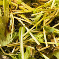 サンタJr's cooksnap of when they made 簡単！水菜とわかめとしらすのマヨサラダ.