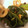 クックS5N2AF☆'s cooksnap of when they made ピーマンとさつま揚げのきんぴら.