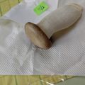 みっちゃん❇️68's cooksnap of when they made 残ったエリンギを新鮮に持たせる方法.