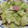 nyangomama's cooksnap of when they made ハクサイとベーコンのとろとろチーズ焼き.