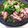 ふくまめふくこ's cooksnap of when they made ひいかの簡単煮.
