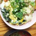 クックIK4DS8☆'s cooksnap of when they made 具沢山！親子丼☆マカロニツナサラダお弁当.
