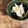 カズ形33's cooksnap of when they made きくらげとささみとセロリの中華風サラダ.