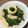 Yokchina's cooksnap of when they made インゲン豆とイカのオイスターソース炒め.