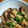 ｅｋ４'s cooksnap of when they made 超簡単‼お弁当用塩こしょうエリンギ炒め.
