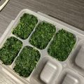 まいもぐ2020's cooksnap of when they made 離乳食　後期　ほうれん草の冷凍ストック.