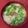 caruga's cooksnap of when they made 茹で汁ごと素麺.