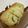 papikun's cooksnap of when they made 簡単キウイケーキ.