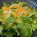 ルンルーン's cooksnap of when they made 柿とパクチーのソムタム風エスニックサラダ.