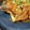 fyun's cooksnap of when they made ご飯に合う♪　秋鮭の和風きのこあんかけ.
