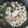 ひまわり032's cooksnap of when they made 豚小間肉と白菜としめじの3点鍋味ぽん添え.