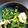 xyzクック's cooksnap of when they made ワインに合う♪大根の葉とササミの炒め物.