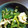 xyzクック's cooksnap of when they made ワインに合う♪大根の葉とササミの炒め物.