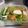 スイスおじさん☆'s cooksnap of when they made カブの浅漬け.