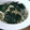 みっくママ's cooksnap of when they made もやしと海苔のさっぱり和え♪.