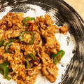 まるさんかく○○△△'s cooksnap of when they made 驚愕レシピNo.16 細切り豚肉の辛旨丼.