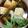 ☆えりんこ☆★'s cooksnap of when they made 塩昆布で簡単湯豆腐.