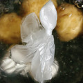 のんべぇヒロ's cooksnap of when they made 一緒にゆで卵♬.