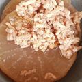 ひぃちゃんひー's cooksnap of when they made 鶏ひき肉で＊大根のそぼろあんかけ♪.