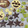 クックKVAQ6V☆'s cooksnap of when they made サクサク！型抜きクッキー（卵不使用）.