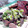 ぬかり's cooksnap of when they made おつまみに♪ネギ塩砂肝炒め.