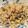 クックM6DK2O☆'s cooksnap of when they made お弁当のすきまに　『大根の皮のゴマ和え』.