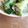 たまの家's cooksnap of when they made ◆お弁当の隙間に…レタスのカニカマ巻き◆.