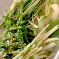 MULA's cooksnap of when they made 冷凍うどんと水菜のサラダ.
