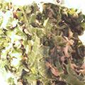 男の子のお母さん★'s cooksnap of when they made 青い部分大量消費♬無限ネギ.