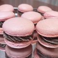 カノミオ's cooksnap of when they made バレンタインに♪かわいいオレオマカロン.