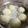 あんFUS5E9☆'s cooksnap of when they made 【米粉】米粉豚まん.