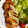 sanatann75's cooksnap of when they made むね肉のてりマヨ.
