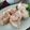 whitelucky's cooksnap of when they made 大きな大きなエビ焼売.